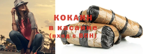 шишки Щучье