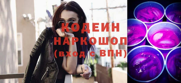 шишки Щучье